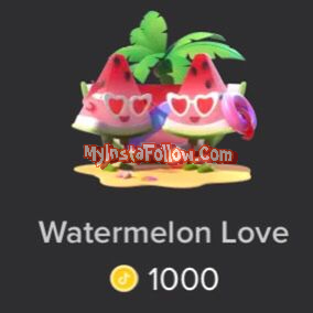 Watermelon Love Tiktok Gift